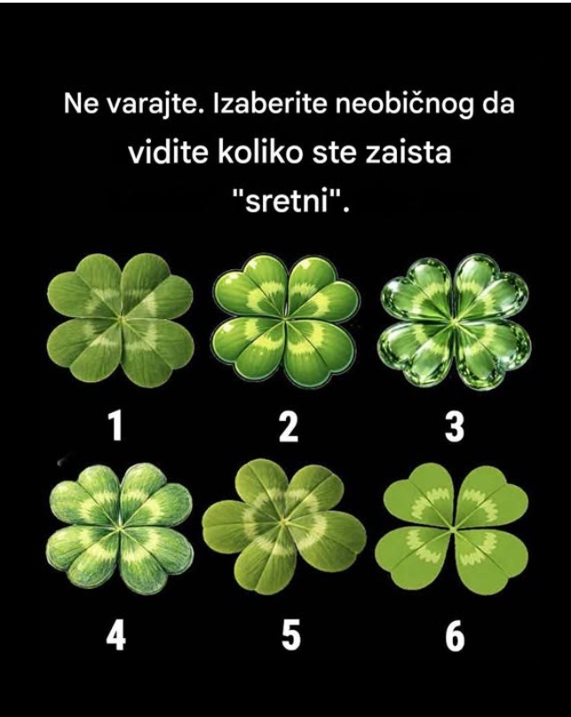 Koji djetelovac primetiš prvi? Tajna tvoje percepcije i intuicije