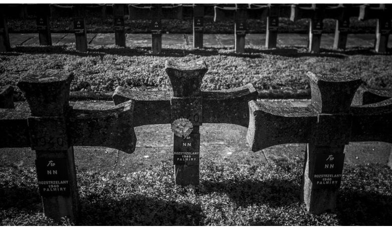 Tajna zakopana u dvorištu: priča o starici, porodičnoj istini i godinama ćutanja