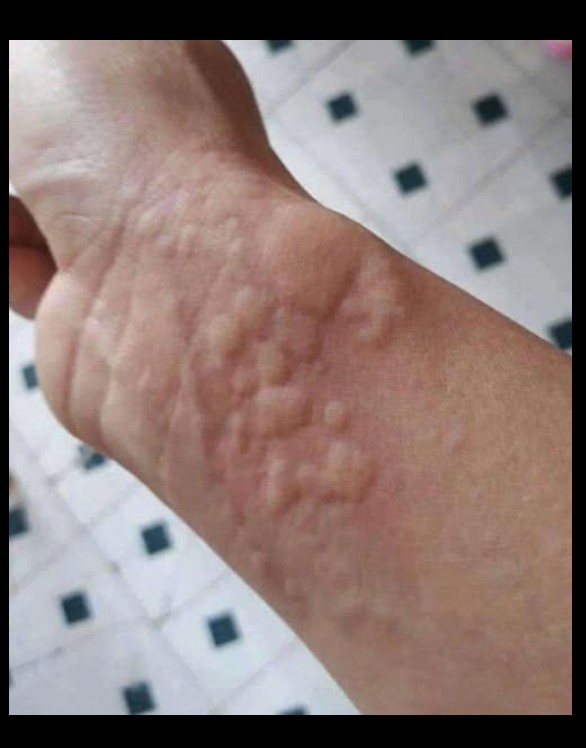 Šta tvoja stolica otkriva o tebi: mali izbori, velika otkrića