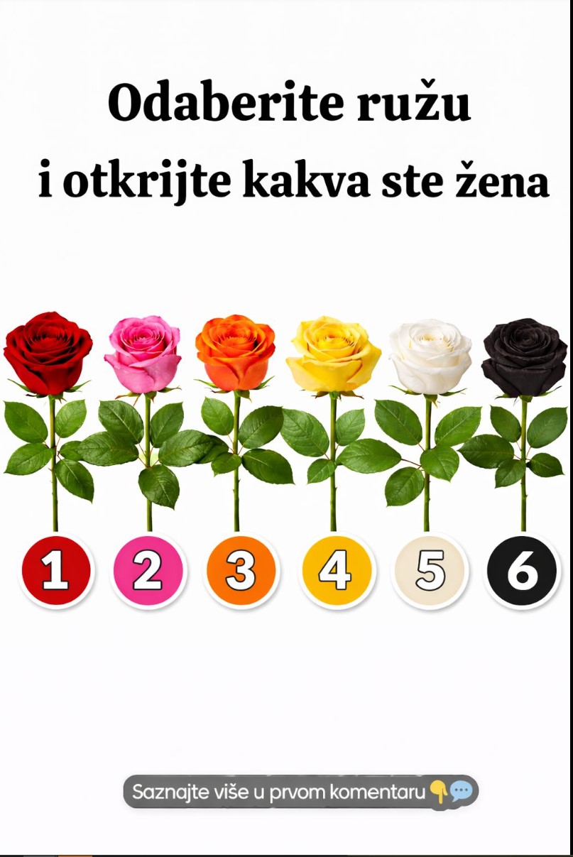 Izaberi ružu i otkrij šta govori o tvojoj ličnosti
