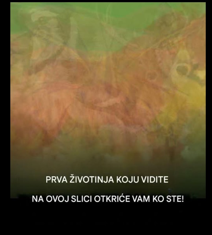 Koju životinju prvo vidite? Otkrijte šta vam danas najviše nedostaje