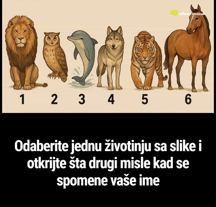 Odaberite jednu životinju i otkrijte šta drugi pomisle kada se spomene vaše ime