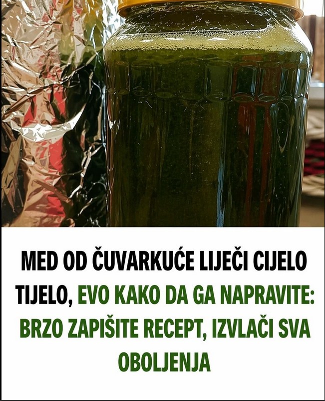 Čuvarkuća i med: Tradicionalni recept i sve što treba da znate o njegovoj primeni