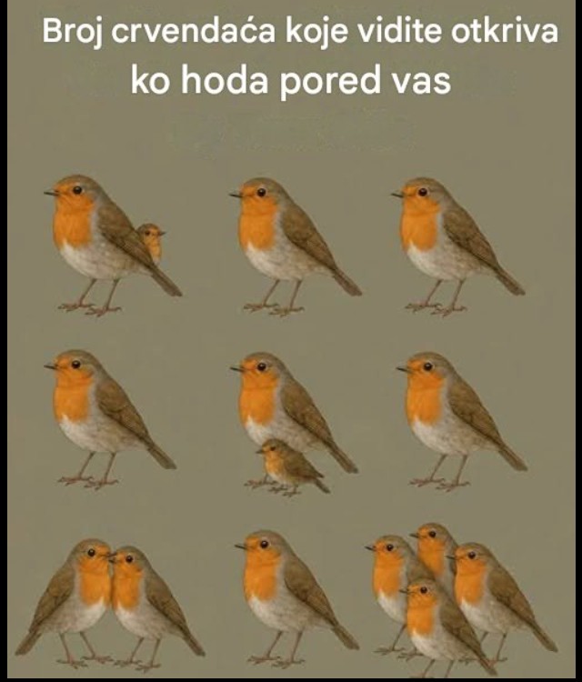 Broj crvendaća koje vidite otkriva ko korača pored vas