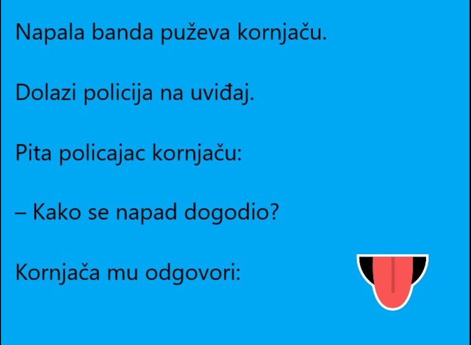 Nevjerovatan vic dana: Kako je porodica kornjača postala žrtva bande puževa