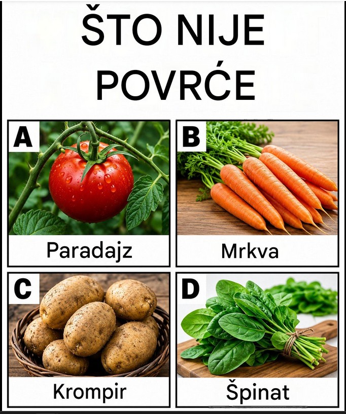 Koji Izbor Nije Povrće? Botanika Protiv Kulinarstva i Večna Dilema o Paradajzu