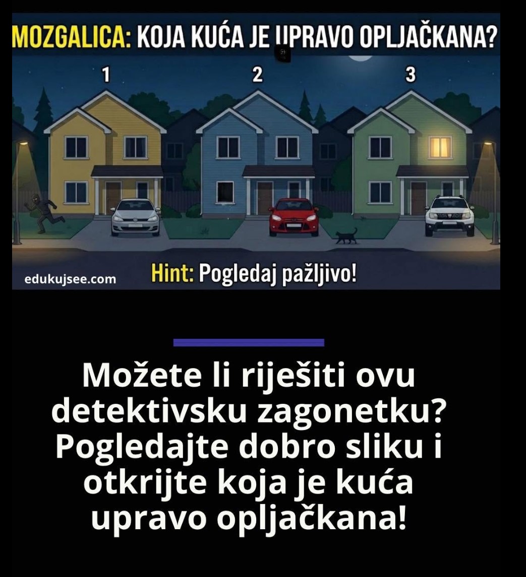 Možete li riješiti ovu detektivsku zagonetku? Pogledajte dobro sliku i otkrijte koja je kuća upravo opljačkana