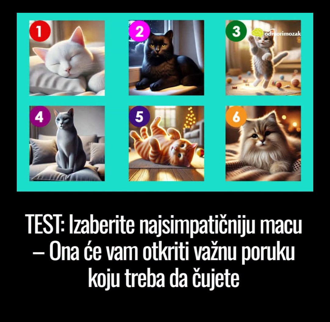TEST: Izaberite najsimpatičniju macu – Ona će vam otkriti važnu poruku koju treba da čujete
