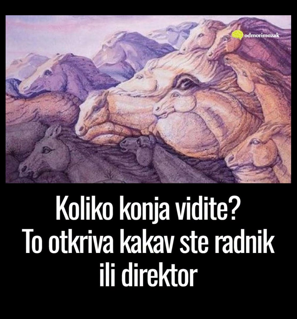 Koliko konja vidite na slici? Broj koji uočite otkriva kakav ste radnik ili direktor