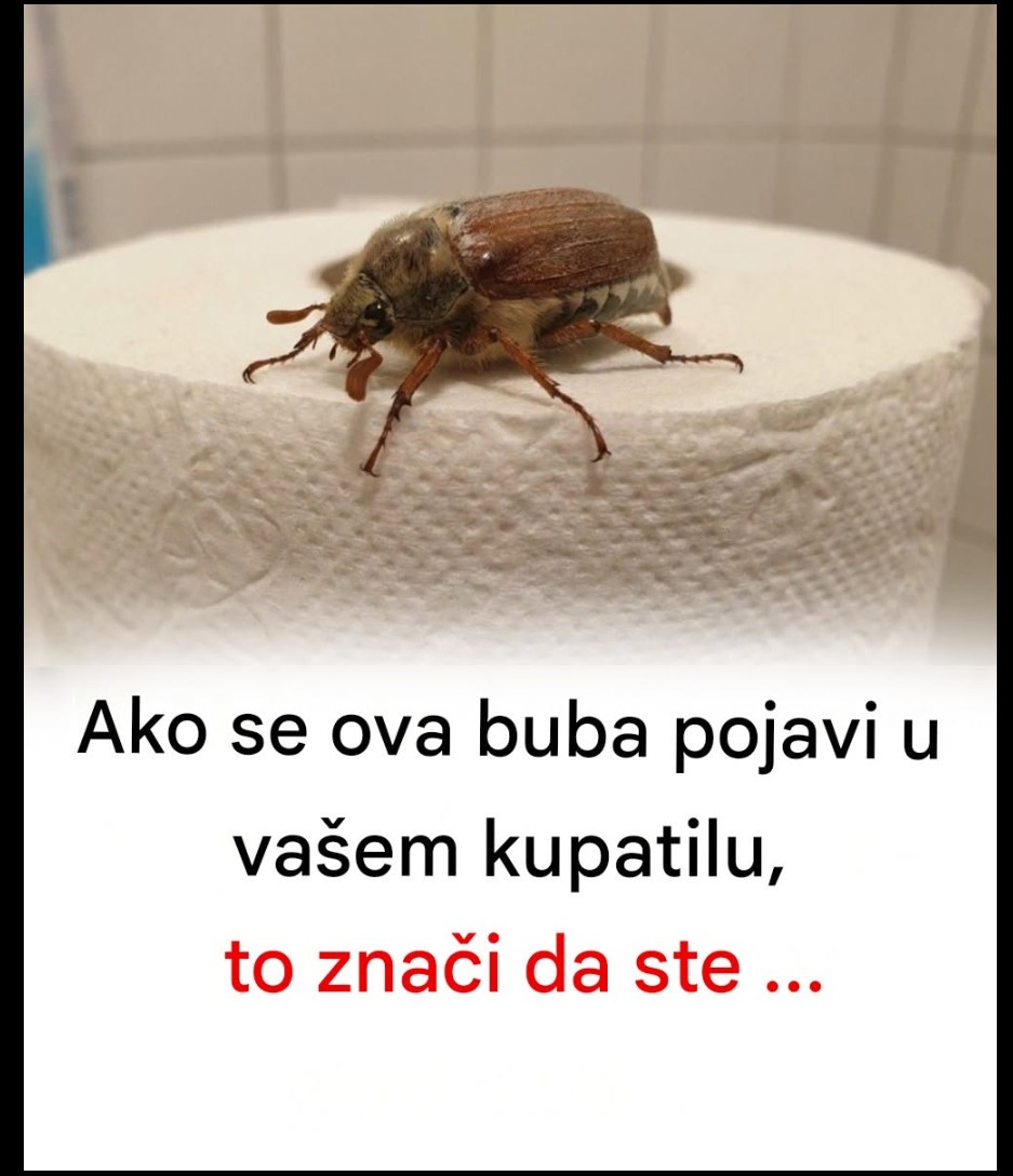 Ako se ovaj insekt pojavi u vašem kupatilu, to znači da ste…