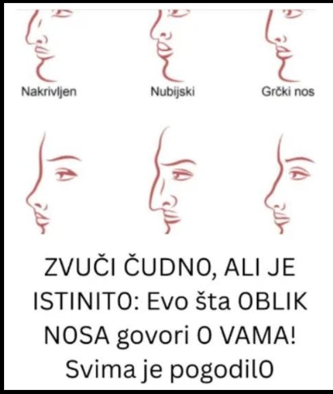 Zvuči čudno, ali je istinito: Šta oblik vašeg nosa otkriva o vašem karakteru?