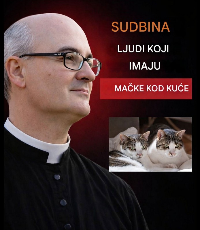 Duhovne refleksije o značenju imati mačke u domu