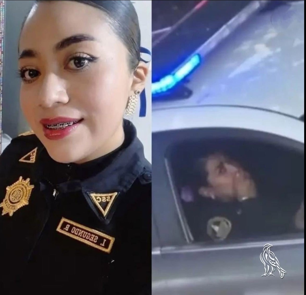 Kako je jedna policijska službenica neočekivano postala tema društvenih mreža nakon fudbalske utakmice