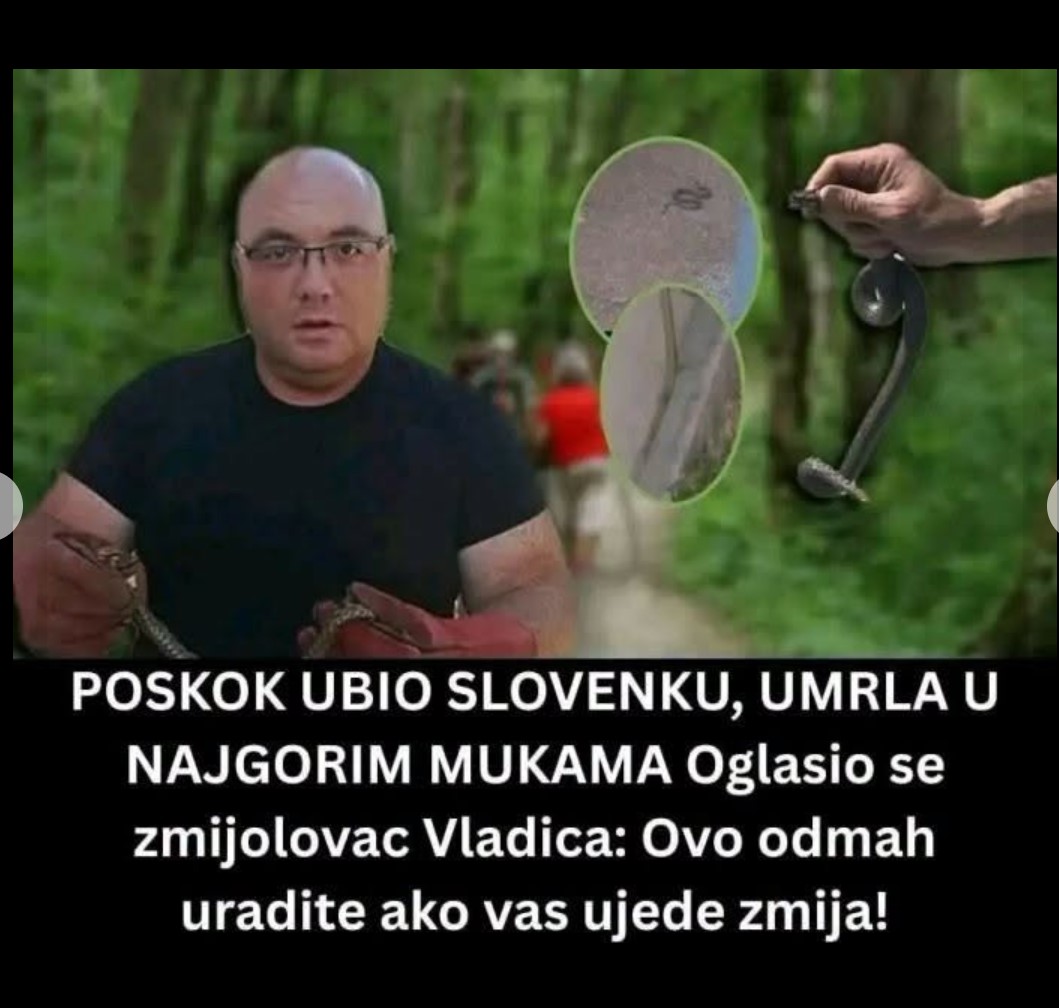 Poznati zmijolovac otkrio šta uraditi ako vas ujede zmija: Evo kako prepoznati otrovnicu i pravilno reagovati