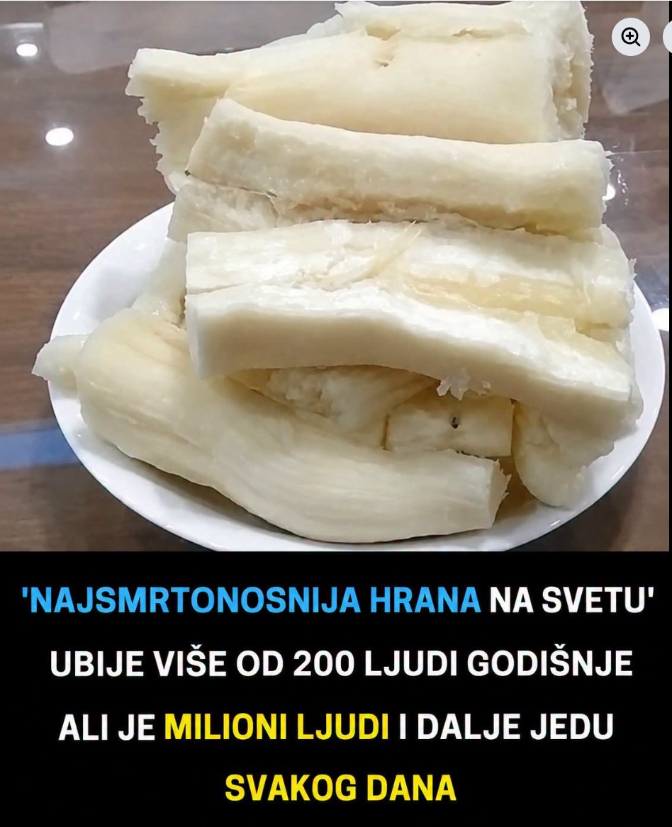 Korijen koji hrani milione, ali može biti smrtonosan ako se ne pripremi pravilno
