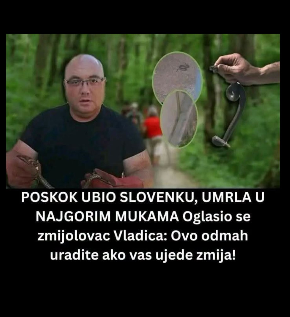 Poznati zmijolovac otkrio kako reagovati nakon ugriza zmije i na šta obratiti pažnju u prirodi