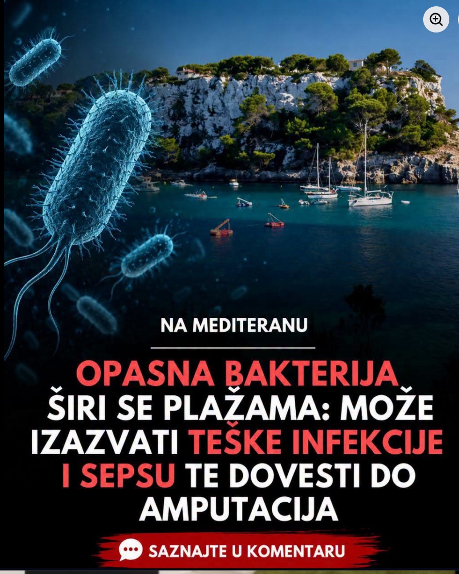 Bakterija Vibrio u toplijim morskim vodama: Šta kupači i turisti moraju znati tokom ljetne sezone