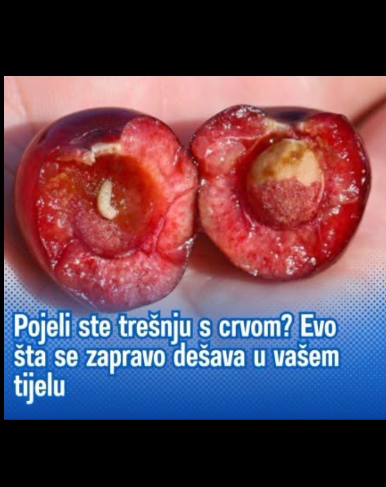 IMA JEDAN PROBLEM: Dobar rod trešnje i kajsije, ali voćari se žale na jedno