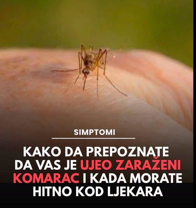 Kako da prepoznate da vas je ujeo zarazeni komarac i kada morate hitno kod ljekara