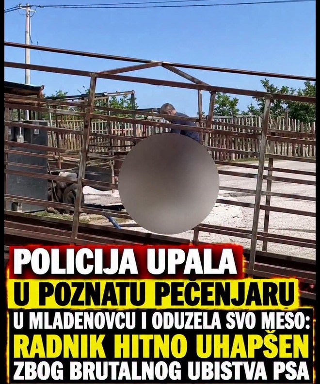 Šokantan slučaj u Mladenovcu: Policijska akcija u poznatoj pečenjari i hapšenje radnika