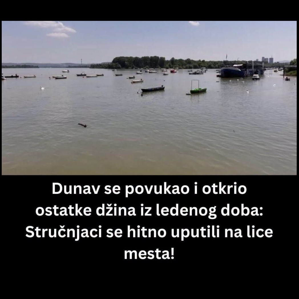 Povlačenje Dunava otkrilo ostatke mamuta u Bugarskoj: Stručnjaci istražuju značajno paleontološko otkriće