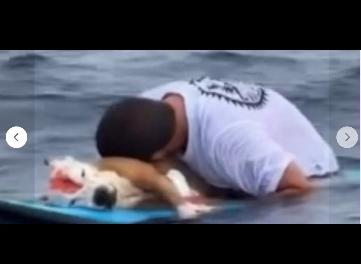 Potresan snimak: Opraštao se od uginulog psa u moru (video)
