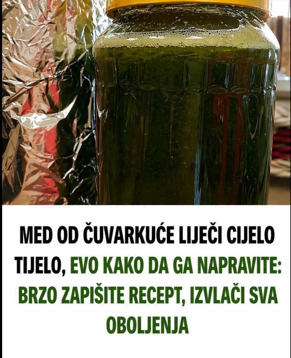 Med od čuvarkuće i njena tradicionalna upotreba: Recept i svojstva ove poznate biljke