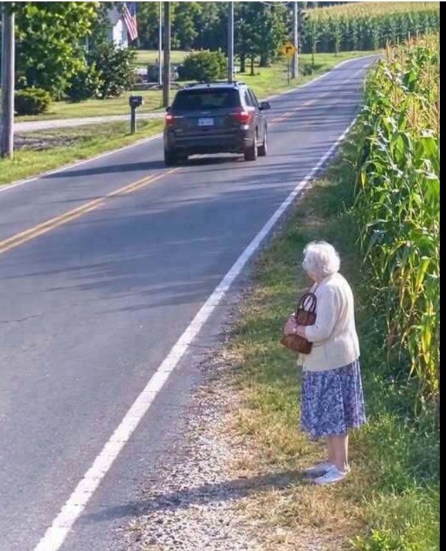 POSLE OČEVE SMRTI POKUŠALI SU DA MAJCI UZMU VOĆNJAK, A ONDA JE OSTAVILI KRAJ PUTA: Jedan stari dokument promenio je sve