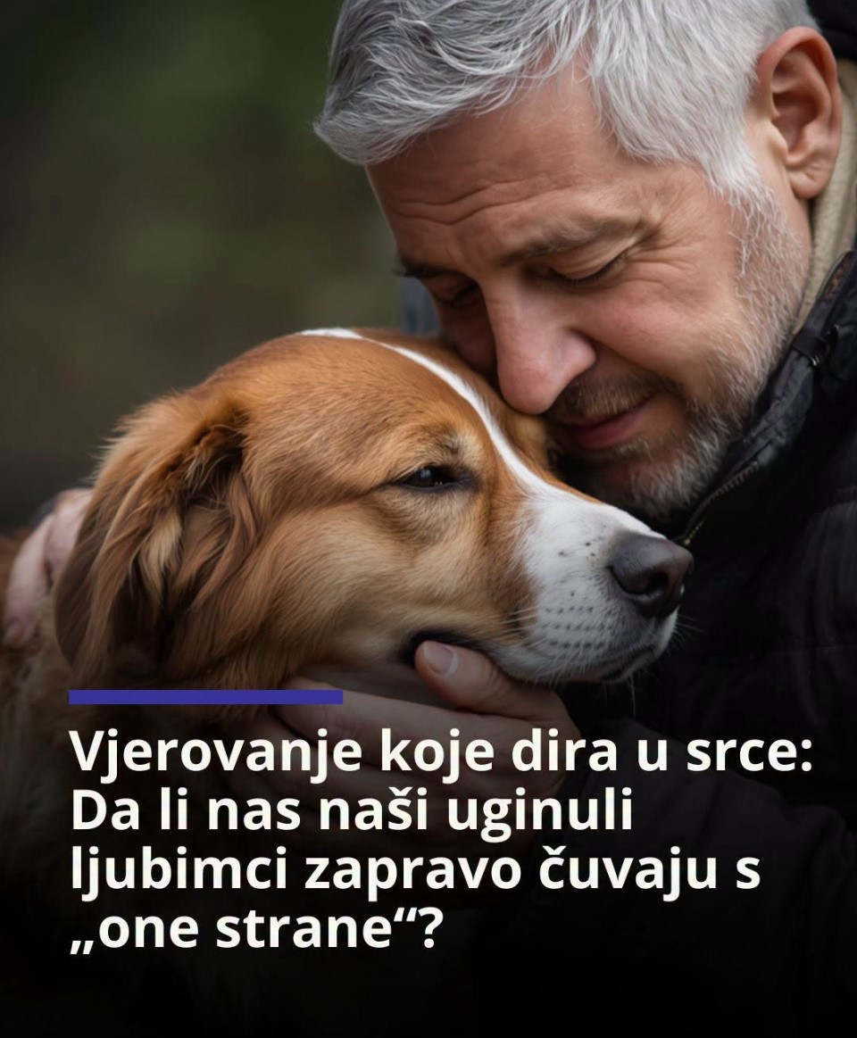 Vjerovanje koje dira u srce: Da li nas naši uginuli ljubimci zapravo čuvaju s one strane?