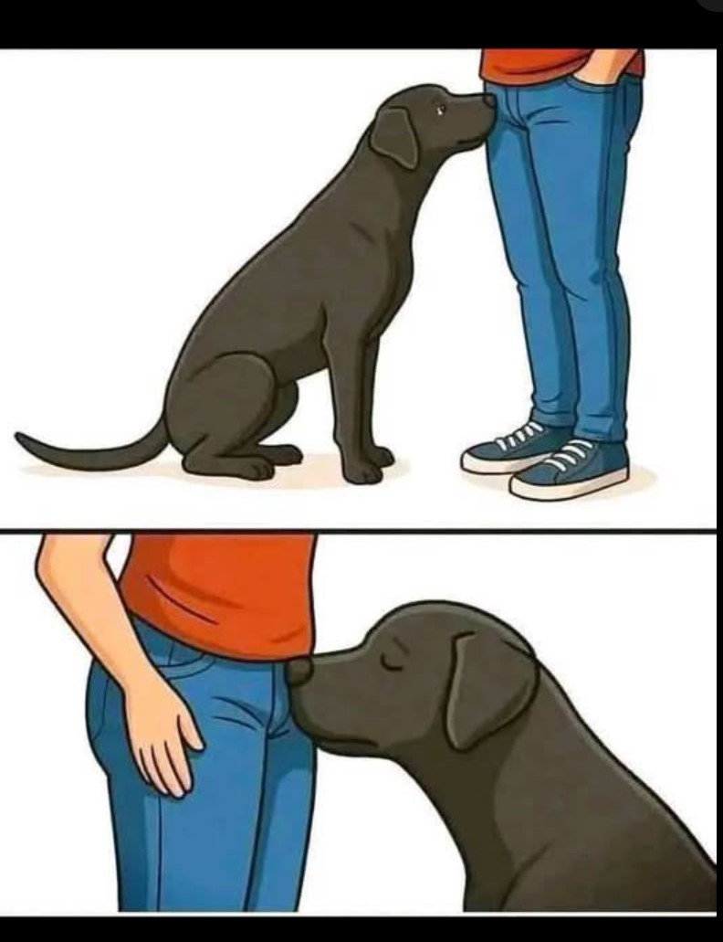Zašto psi njuškaju naše intimne delove? 🐶
