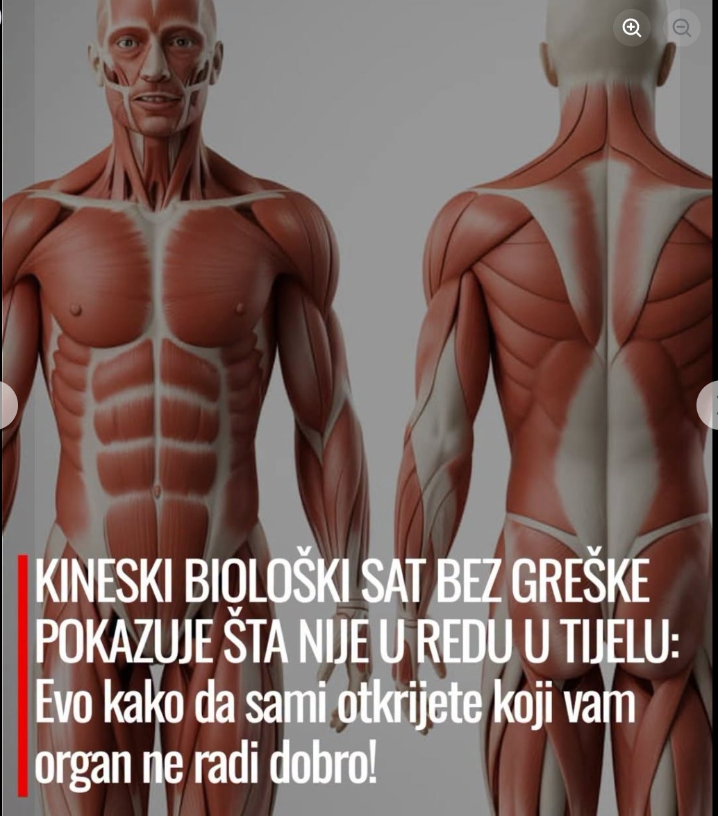 Unutrašnji Ritam Organizma: Kako Tradicionalna Kineska Medicina Povezuje Vreme i Rad Organa