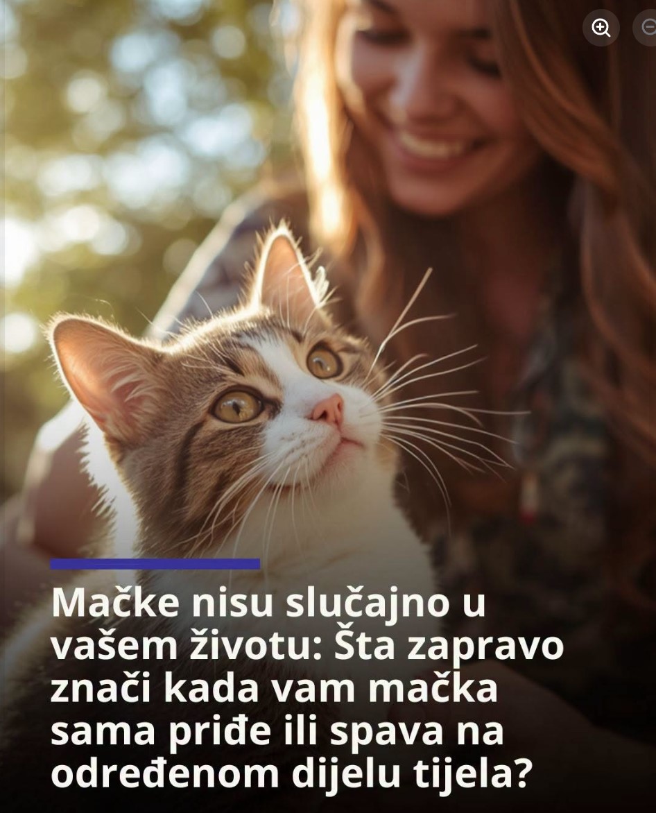 Mačke nisu slučajno u vašem životu: Šta zapravo znači kada vam mačka sama priđe ili spava na određenom dijelu tijela?