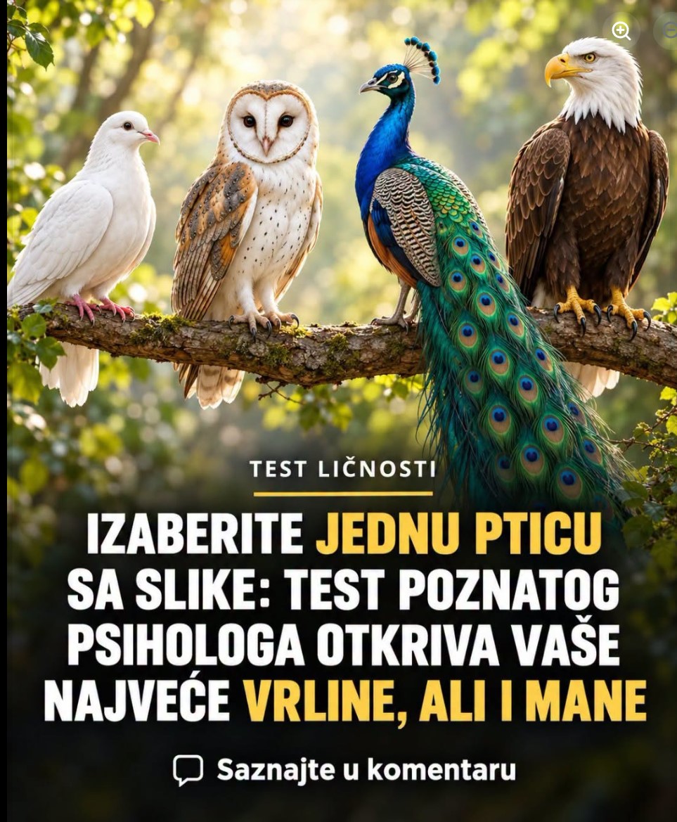 Test ličnosti sa četiri ptice (DOPE): Otkrijte svoje najveće snage i slabosti