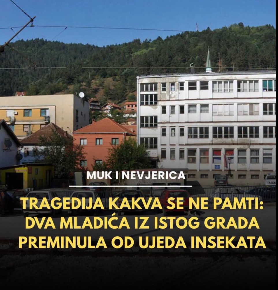 Dva mladića iz istog grada preminula od ujeda insekata