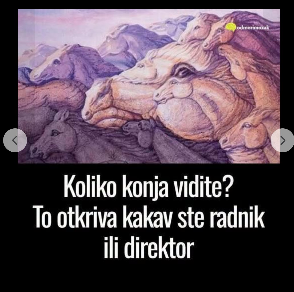 Test ličnosti: Koliko konja vidite? Vaš odgovor otkriva vaš stil rada i liderski potencijal
