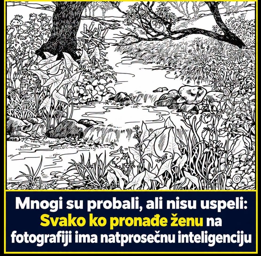 Možete li pronaći skriveno lice žene? Optička iluzija koja zbunjuje na prvi pogled