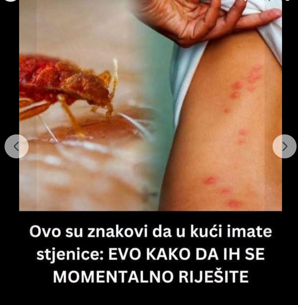 Kako prepoznati stenice u domu: Pet znakova koje ne treba ignorisati i pravilni koraci za njihovo uklanjanje